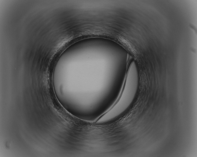 X0000091180680200709060954