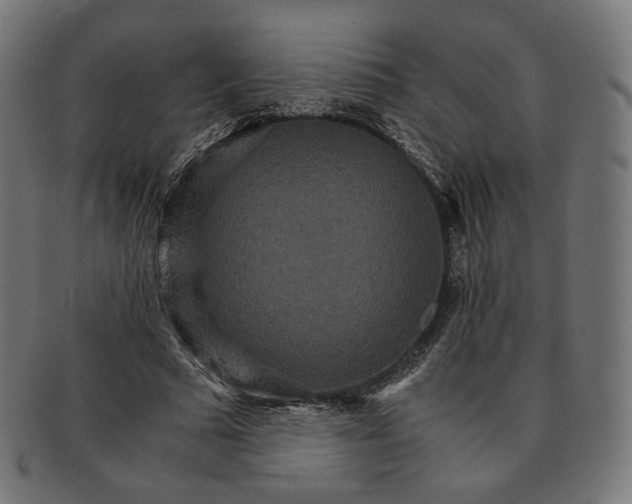 X0000091180681200709060954