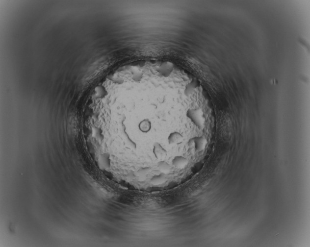 X0000091180683200709060954