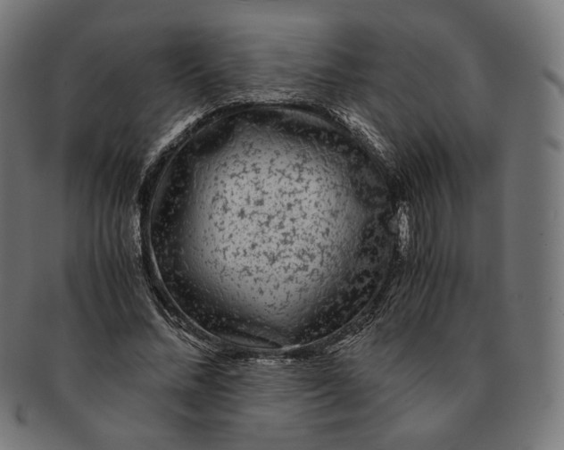 X0000091180684200709060954