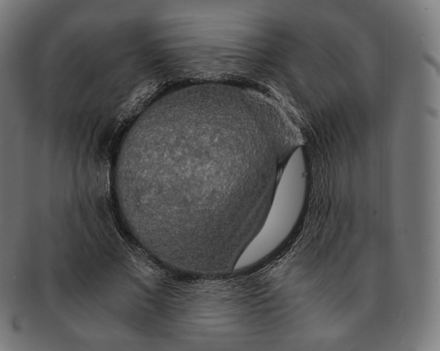 X0000091180685200709060954