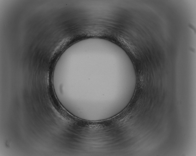 X0000091180686200709060954