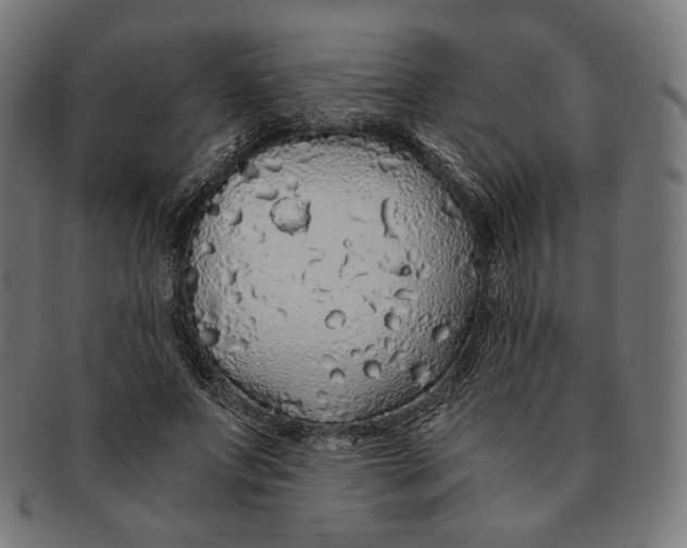 X0000091180687200709060954