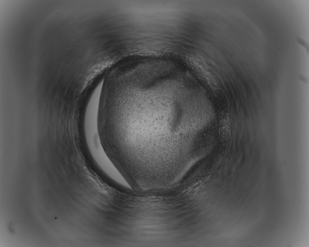 X0000091180688200709060954