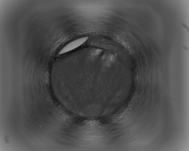 X0000091180689200709060954