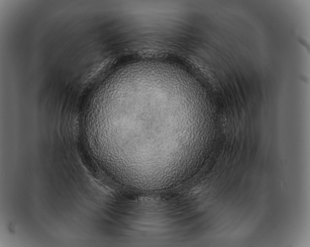 X0000091180690200709060954