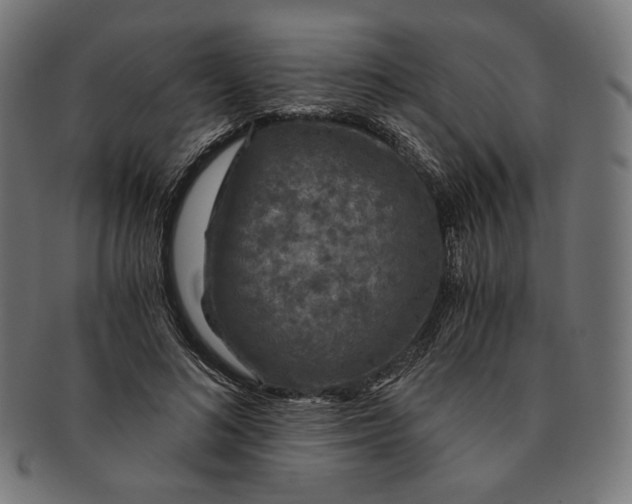 X0000091180692200709060954