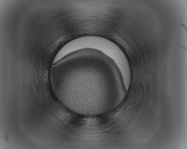 X0000091180693200709060954