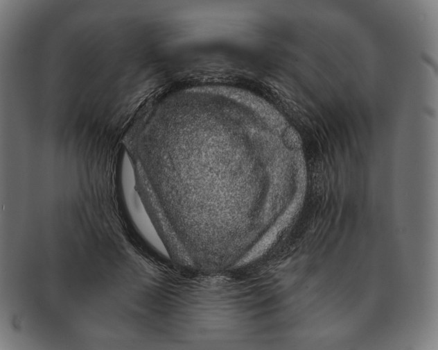 X0000091180695200709060954