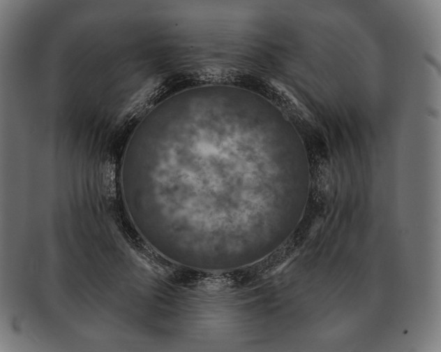 X0000091180696200709060954