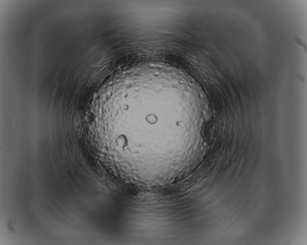 X0000091180699200709060954
