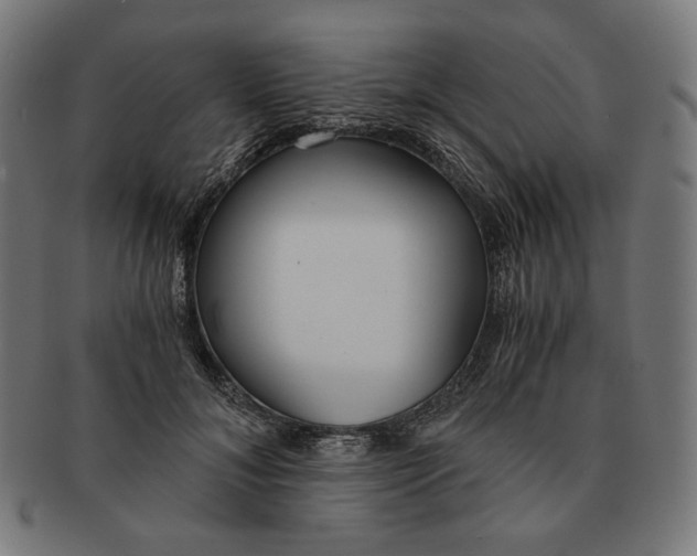 X0000091180700200709060954