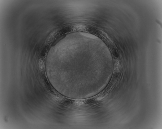 X0000091180701200709060954