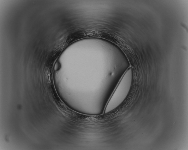 X0000091180703200709060954