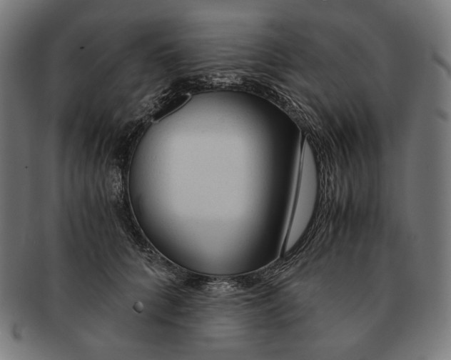 X0000091180704200709060954