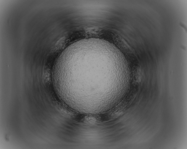 X0000091180706200709060954