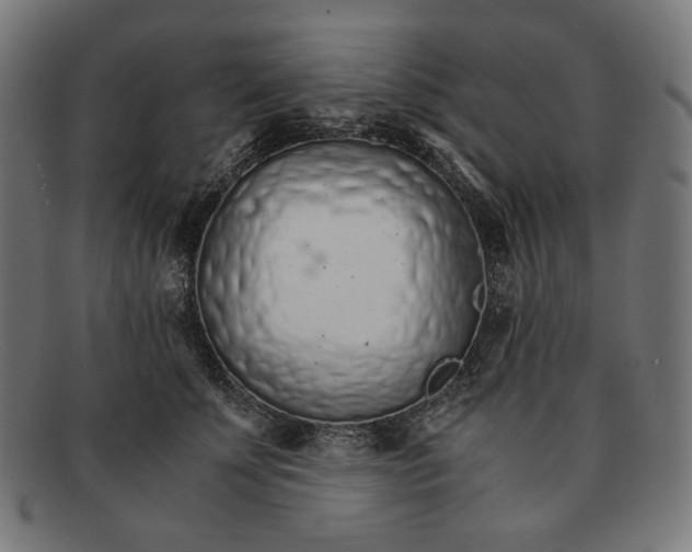X0000091180707200709060954
