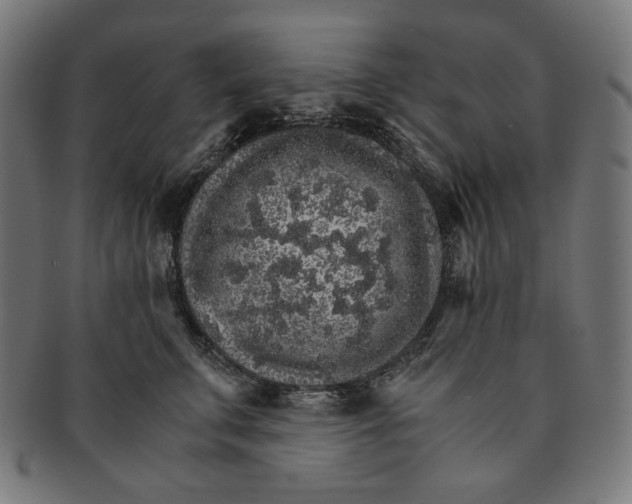 X0000091180711200709060954