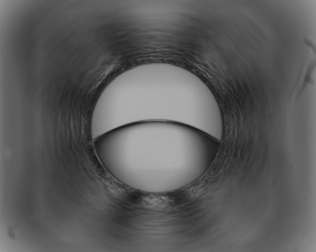 X0000091180712200709060954