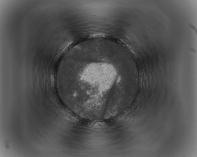 X0000091180716200709060954