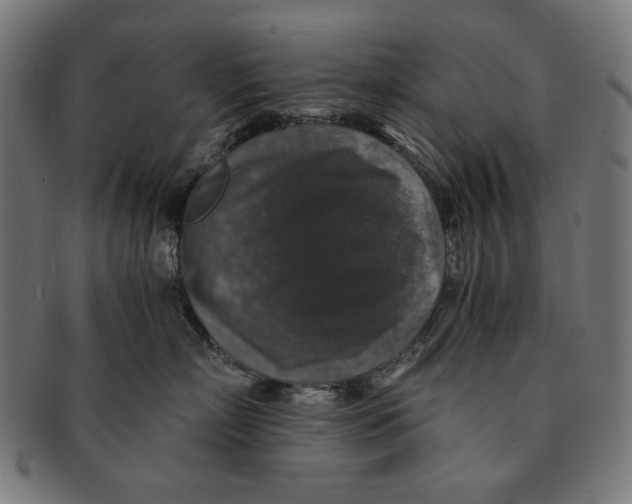 X0000091180718200709060954