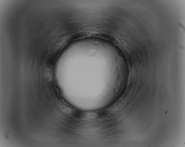 X0000091180719200709060954