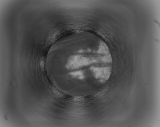 X0000091180720200709060954