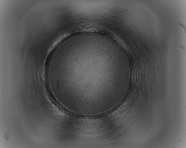 X0000091180722200709060953