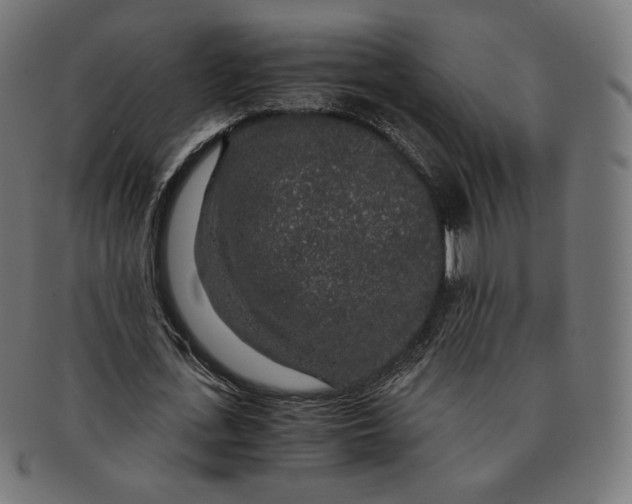 X0000091180723200709060953