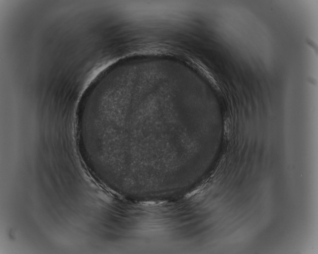 X0000091180724200709060953