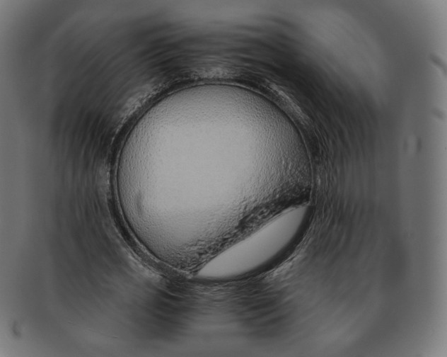 X0000091180725200709060953
