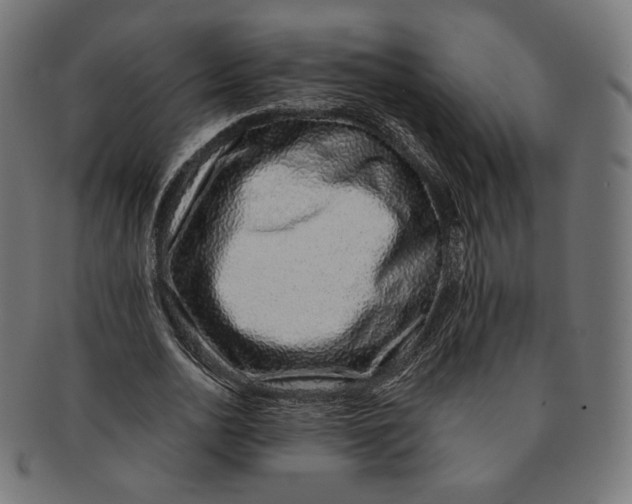 X0000091180726200709060953