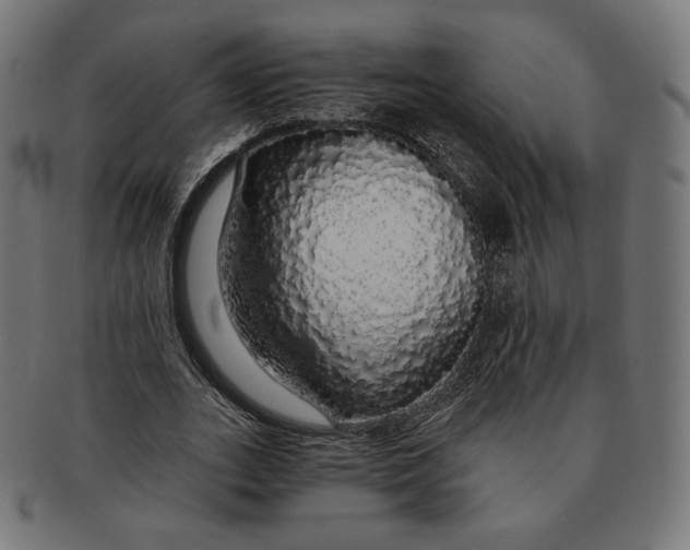 X0000091180727200709060953
