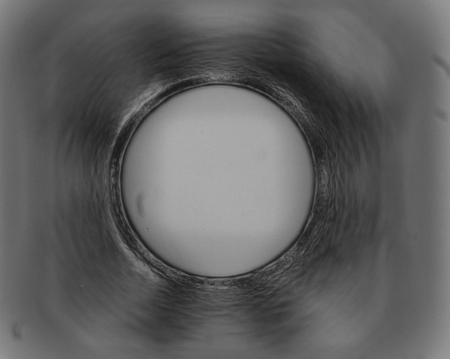 X0000091180730200709060953