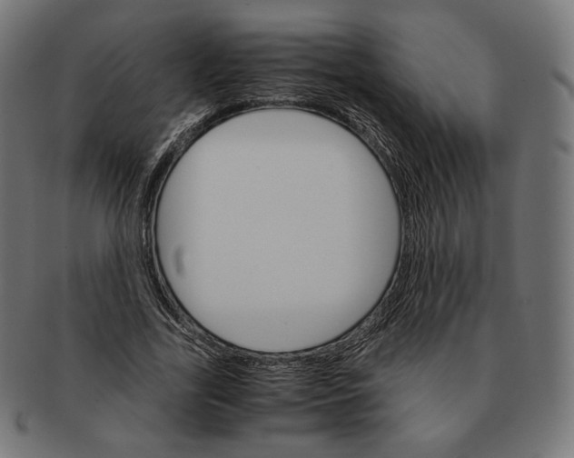 X0000091180731200709060953