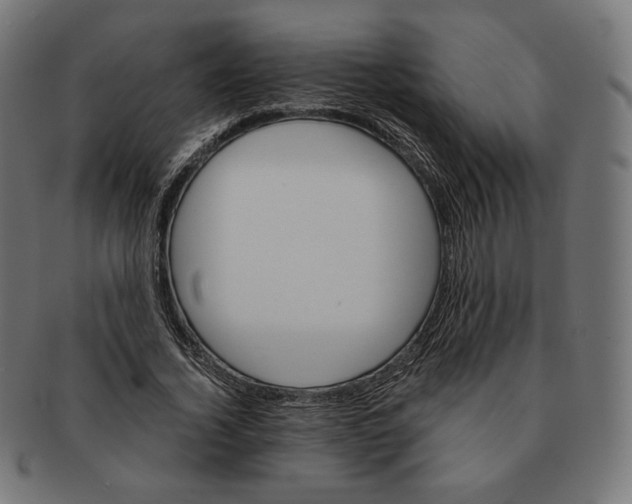 X0000091180732200709060953