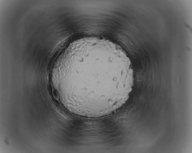 X0000091180733200709060953