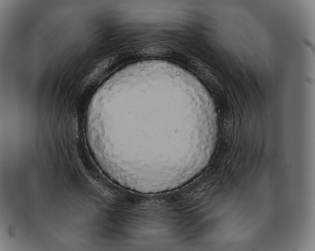 X0000091180734200709060953