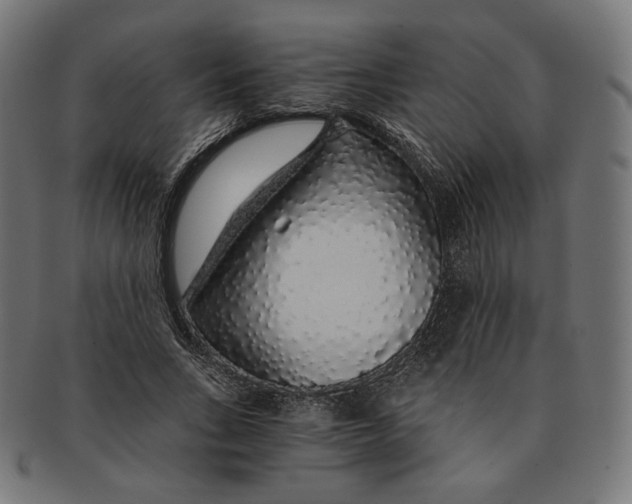 X0000091180735200709060953