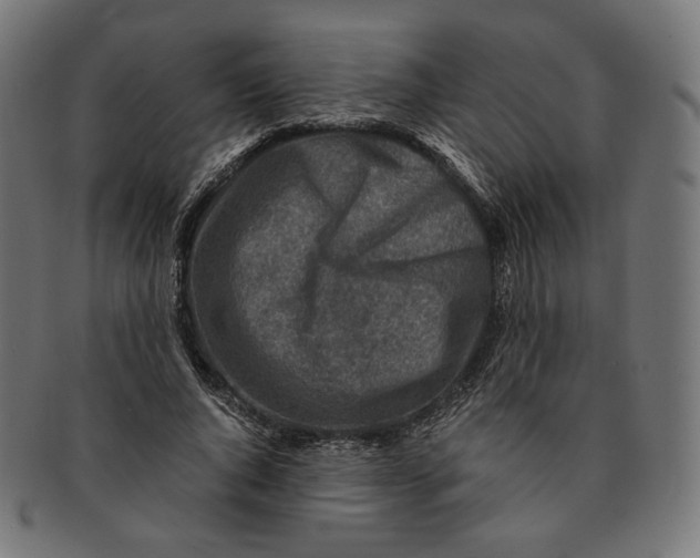 X0000091180736200709060953