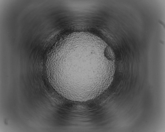X0000091180737200709060953