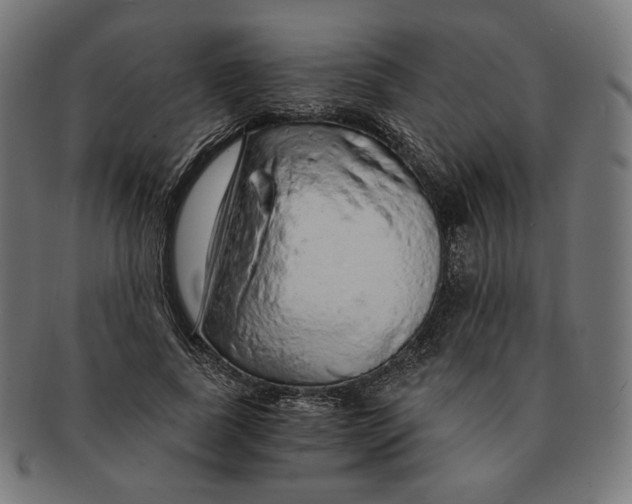 X0000091180739200709060953