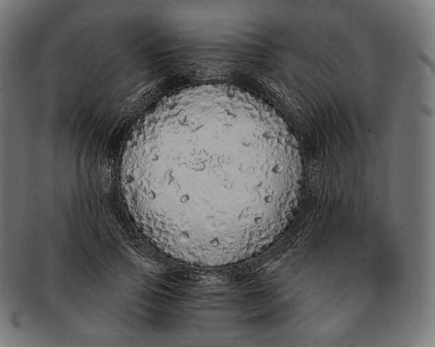 X0000091180741200709060953