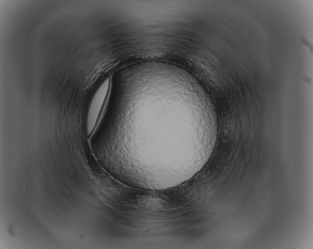 X0000091180743200709060954