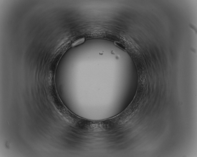 X0000091180744200709060954