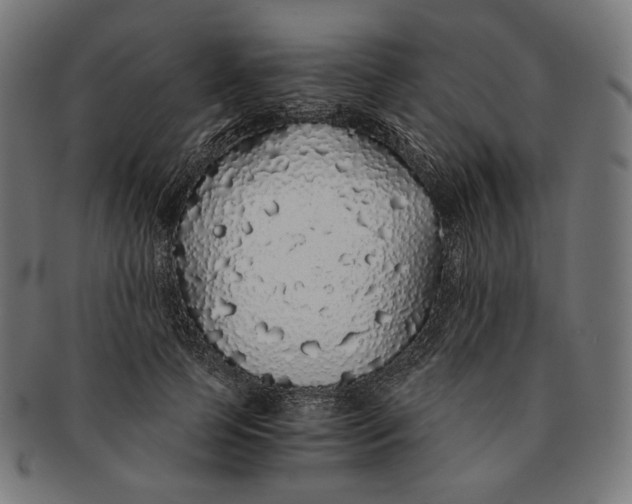 X0000091180745200709060954