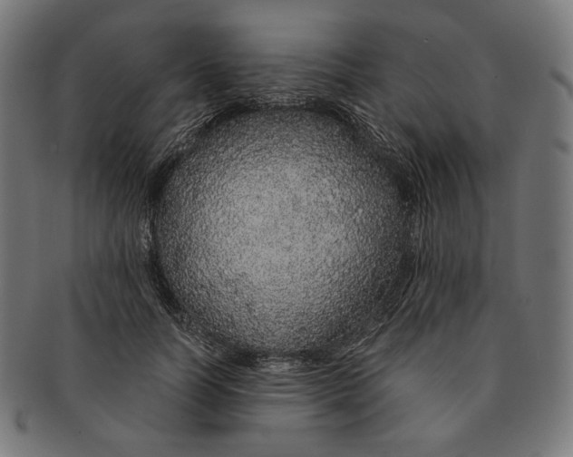X0000091180746200709060954