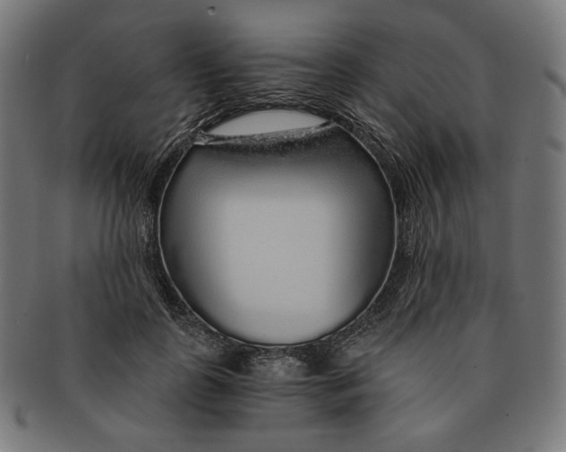 X0000091180747200709060954