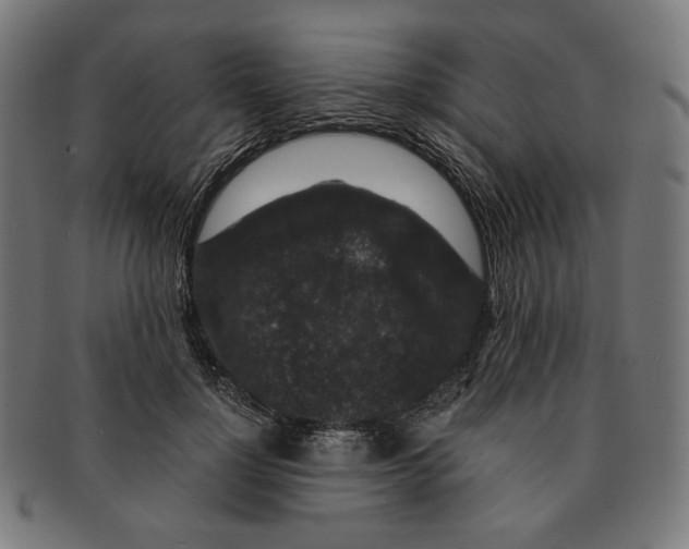 X0000091180748200709060954