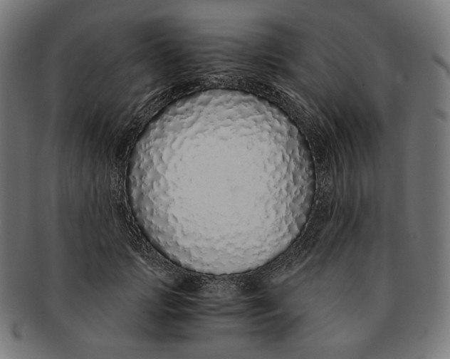 X0000091180749200709060954